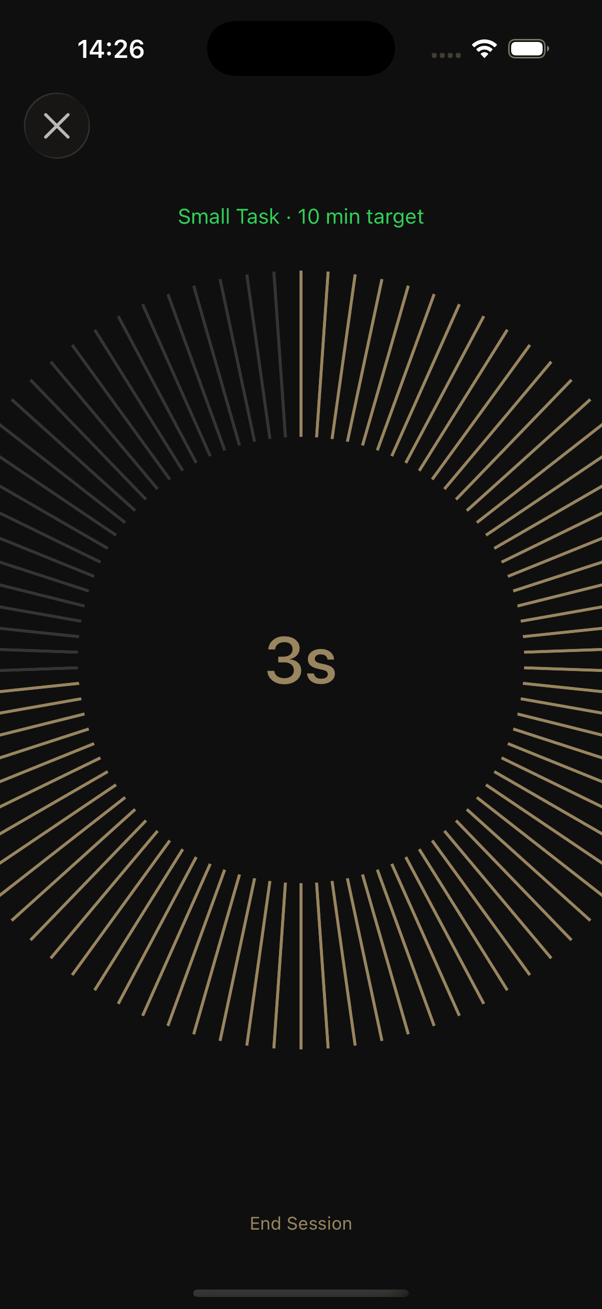 Session timer with progress ring